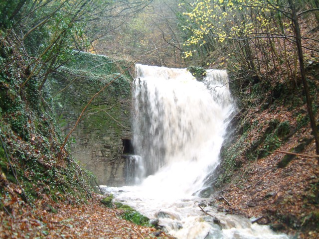  Image name: DSCF2009.JPG 
 width: 640 pixel 
 height: 480 pixel 
 Size: 134635 bytes 
 Click to enlarge 